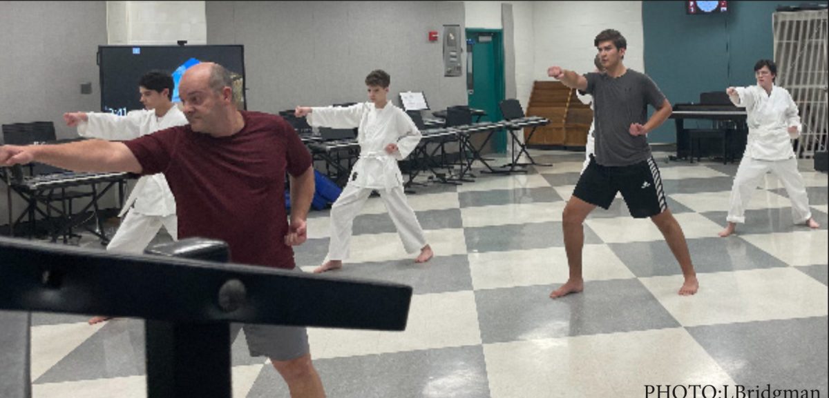 ELHS Karate Club practices their technique.