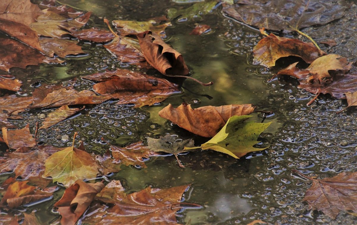 Sad Girl Autumn: The Harmfulness of Glorifying Seasonal Depression