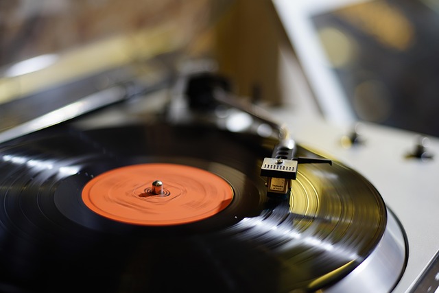 Records of The Record Stores